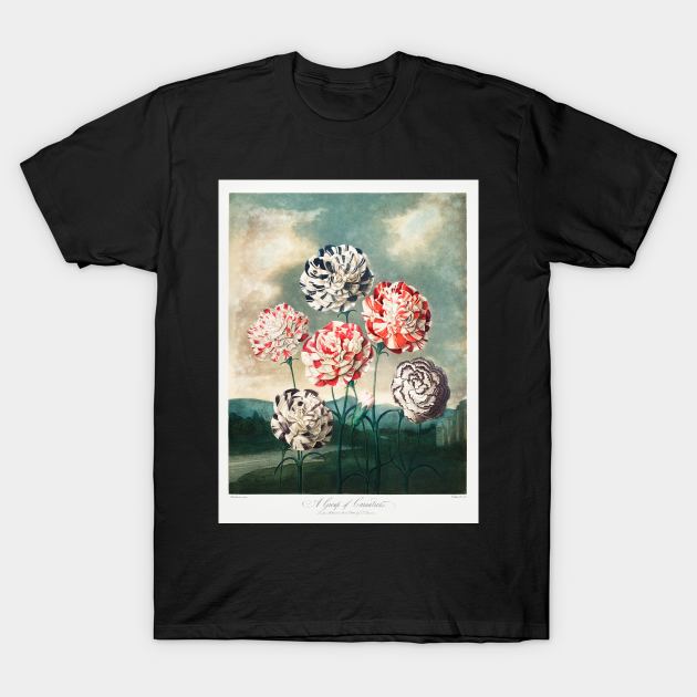 A group of Carnations T-Shirt by Cleopsys